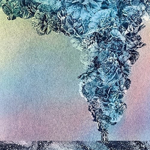 Daughn Gibson – Carnation – LP