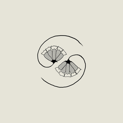 Godspeed You Black Emperor - ¡G_d's Pee AL FINAL DEL ESTADO! -LP