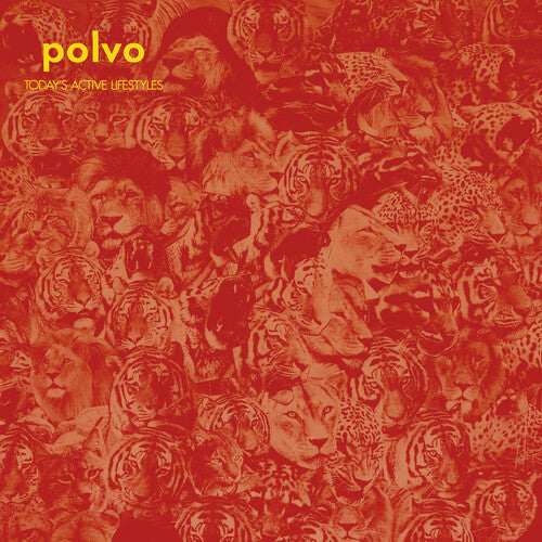 Polvo – Aktive Lebensstile von heute – LP