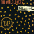 The Wallflowers - Derribando al Caballo - LP