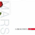 Thirty Seconds to Mars - A Beautiful Lie - LP