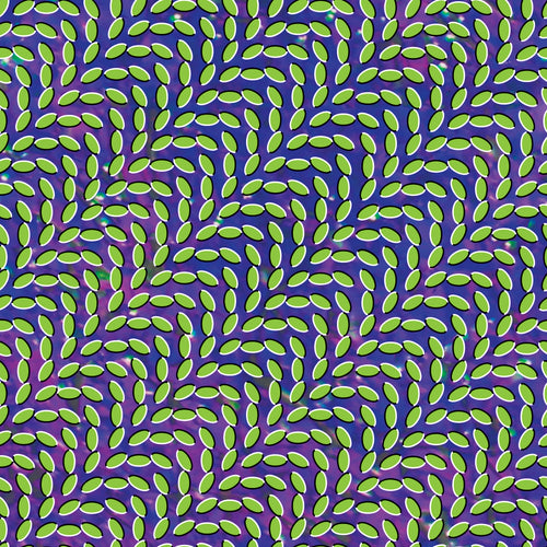 Animal Collective - Merriweather Post Pavilion - LP