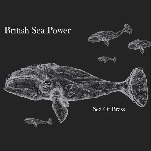 British Sea Power - Sea of Brass - LP