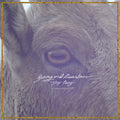 Young & Heartless - Stay Away - LP