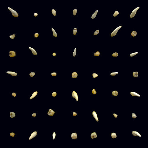 Clipping - Visions Of Bodies Being Burned - LP