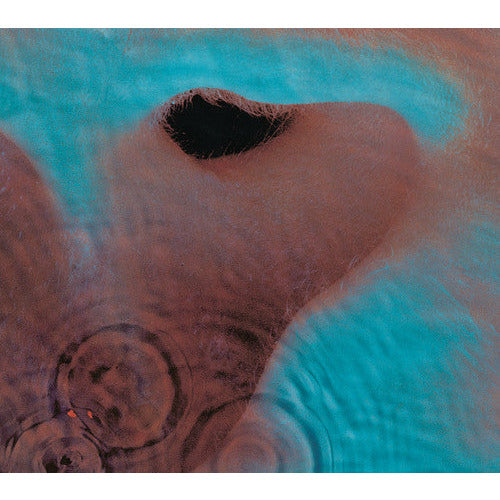 Pink Floyd - Meddle - LP