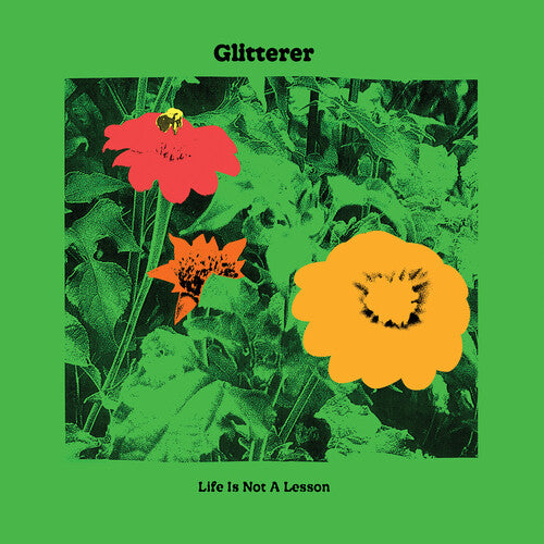 Glitterer - La vida no es una lección - LP independiente