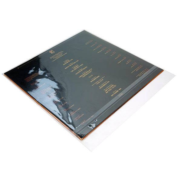 100 Crystal Clear Album Sleeves With Resealable Flap