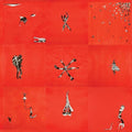Animal Collective - Hollinndagain - LP