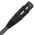 WireWorld - Equinox 8 Audio XLR Interconnect Cable