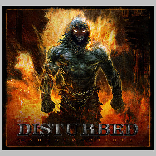 Disturbed - Indestructible - LP