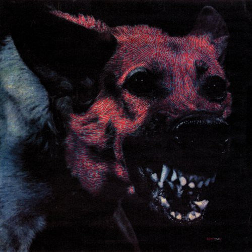 Protomartyr - Under Color of Official Right - LP