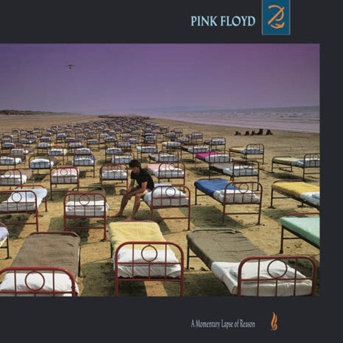 Pink Floyd - A Momentary Lapse Of Reason - LP