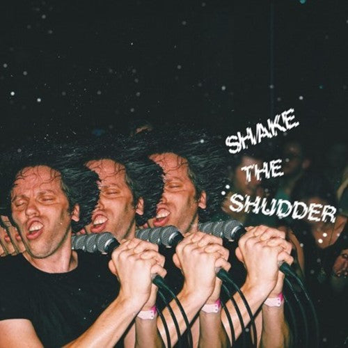 !!! - Shake The Shudder - LP independiente