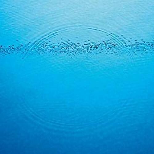 Caribou - Suddenly - LP