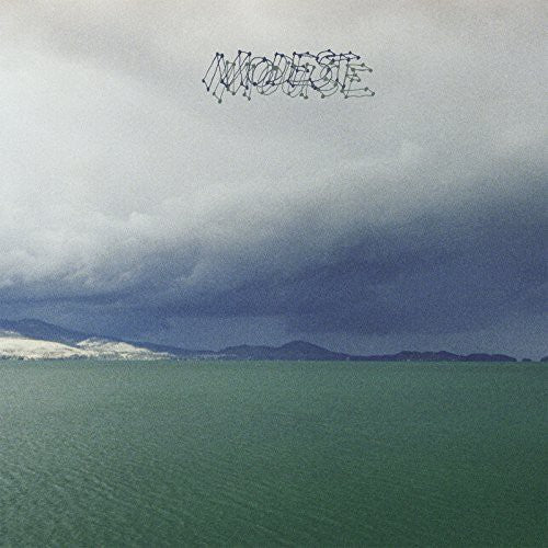 Modest Mouse - Fruit That Ate Itself - LP